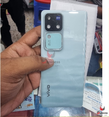 Picture of Replacement Backshell Panel for Vivo V30 Pro -  100 % Original Battery Back Door Housing Cover With Camera lens