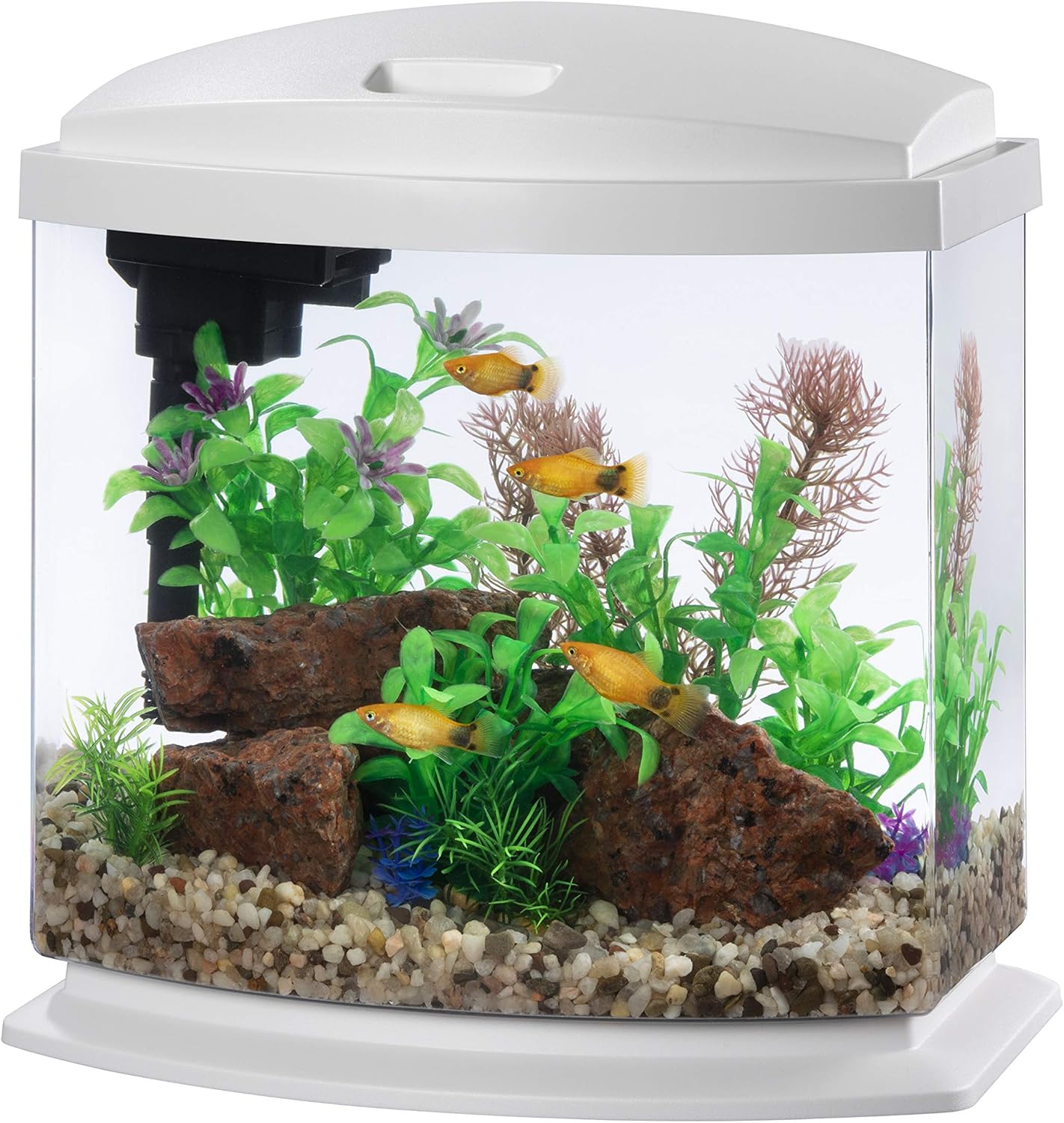 Picture of Aqueon LED MiniBow Small Aquarium Fish Tank Kit with SmartClean Technology, Blue
