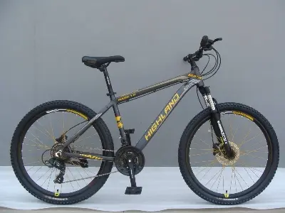 Picture of 26 inchi 21 Speed Gear Cycle With Suspension Lockout fork High Rim Coloring Fat Spoke With Shimano Parts