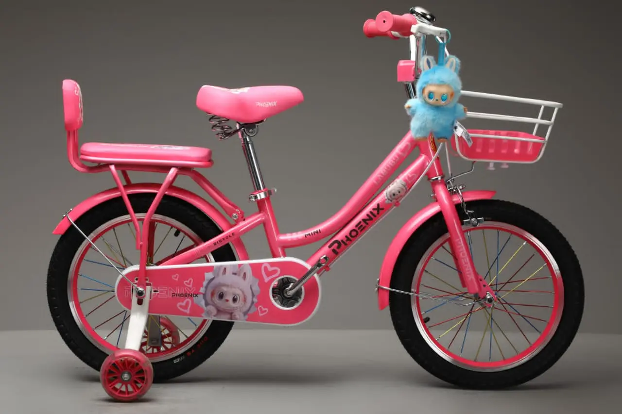 Picture of 12 Inch Ladies / Girls Bicycle with Back Seat Carrier, Front Basket, Full Wheel Mudguard & Chain Protector – Stylish & Safe Female Cycle
