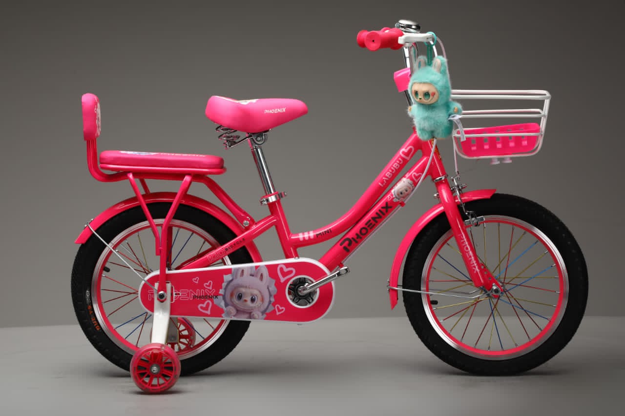 Picture of 16 Inch Ladies / Girls Bicycle with Back Seat Carrier, Front Basket, Full Wheel Mudguard & Chain Protector – Stylish & Safe Female Cycle
