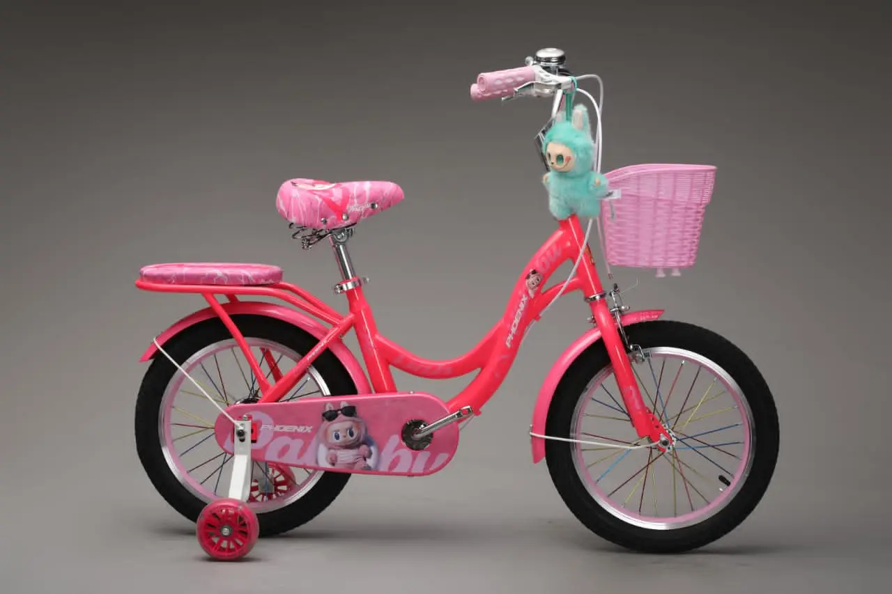 Picture of 16 Inch Ladies / Girls Bicycle with Back Seat Carrier, Front Basket, Full Wheel Mudguard & Chain Protector – Stylish & Safe Female Cycle