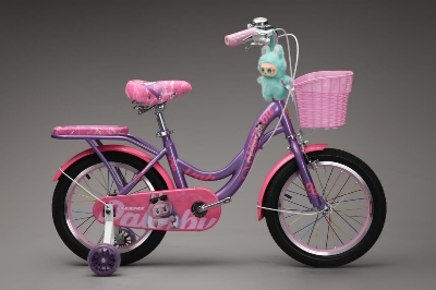 Picture of 20 Inch Ladies / Girls Bicycle with Back Seat Carrier, Front Basket, Full Wheel Mudguard & Chain Protector – Stylish & Safe Female Cycle