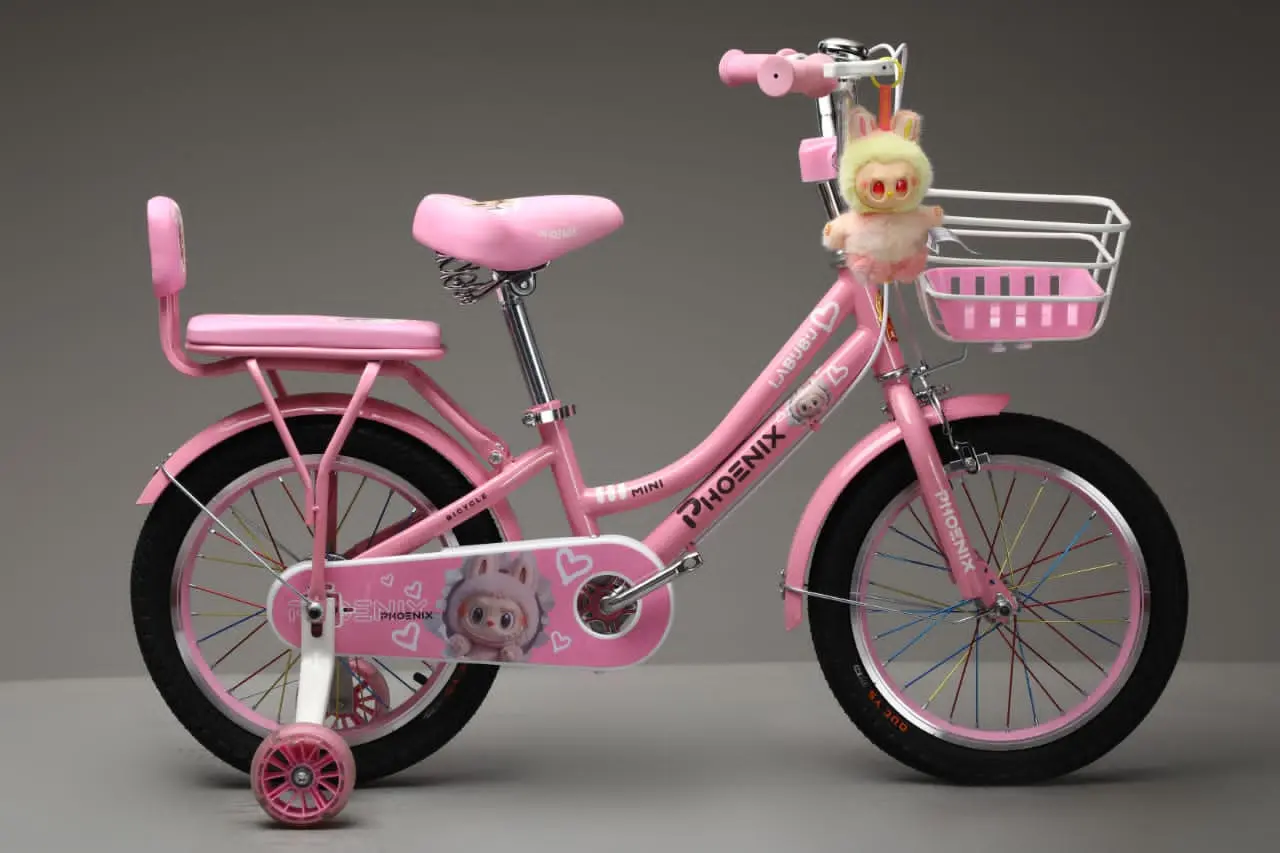 Picture of 16 Inch Ladies / Girls Bicycle with Back Seat Carrier, Front Basket, Full Wheel Mudguard & Chain Protector – Stylish & Safe Female Cycle
