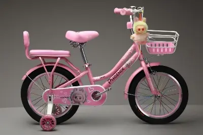 Picture of 16 Inch Ladies / Girls Bicycle with Back Seat Carrier, Front Basket, Full Wheel Mudguard & Chain Protector – Stylish & Safe Female Cycle