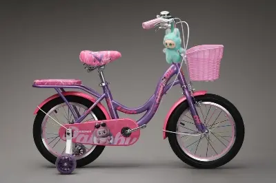 Picture of 16 Inch Ladies / Girls Bicycle with Back Seat Carrier, Front Basket, Full Wheel Mudguard & Chain Protector – Stylish & Safe Female Cycle