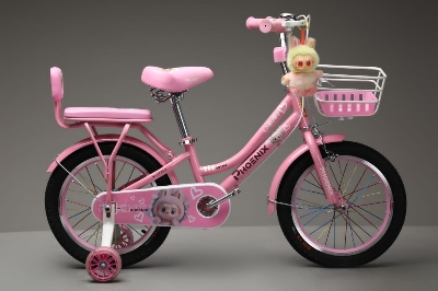 Picture of 20 Inch Ladies / Girls Bicycle with Back Seat Carrier, Front Basket, Full Wheel Mudguard & Chain Protector – Stylish & Safe Female Cycle