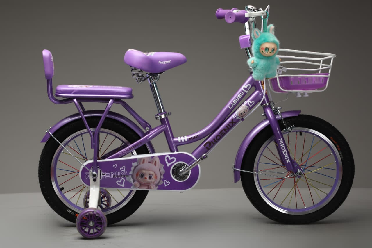 Picture of 20 Inch Ladies / Girls Bicycle with Back Seat Carrier, Front Basket, Full Wheel Mudguard & Chain Protector – Stylish & Safe Female Cycle
