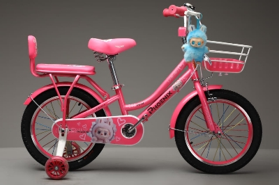 Picture of 16 Inch Ladies / Girls Bicycle with Back Seat Carrier, Front Basket, Full Wheel Mudguard & Chain Protector – Stylish & Safe Female Cycle