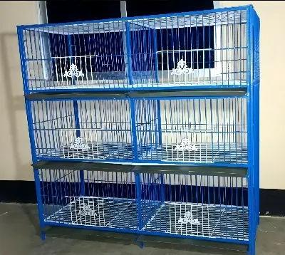 Picture of 1-8 Floor Nut System Folding Cage Made by 13no. Wire With plastic coded on China Model Pigeon Cage Each Floor Size Select Before order Premium Folding Pigeon Cage – 24×18×14 Inches | Plastic Coated Wire, Easy Transport & Durable Quality Cash On Delivery A