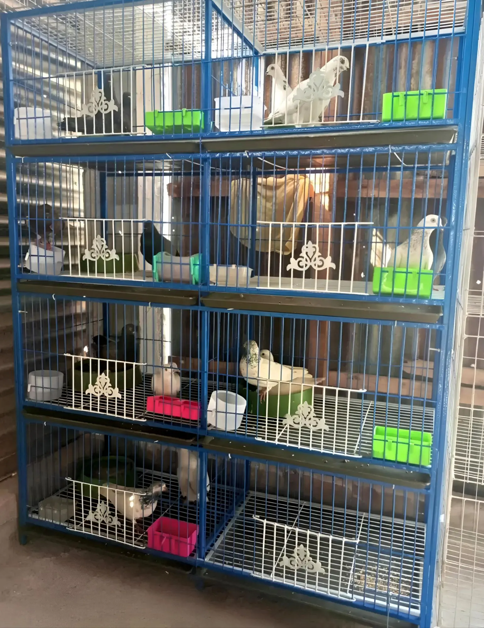 Picture of 1-8 Floor Nut System Folding Cage Made by 13no. Wire With plastic coded on China Model Pigeon Cage Each Floor Size Select Before order Premium Folding Pigeon Cage – 24×18×14 Inches | Plastic Coated Wire, Easy Transport & Durable Quality Cash On Delivery A