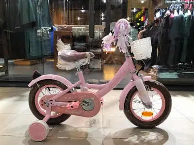 Picture of 12 Inch Ladies / Girls Bicycle with Back Seat Carrier, Front Basket, Full Wheel Mudguard & Chain Protector – Stylish & Safe Female Cycle