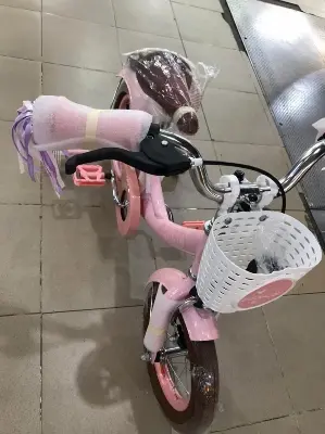 Picture of 12 Inch Ladies / Girls Bicycle with Back Seat Carrier, Front Basket, Full Wheel Mudguard & Chain Protector – Stylish & Safe Female Cycle