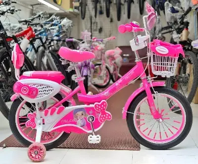Picture of 16 Inch Ladies / Girls Bicycle with Back Seat Carrier, Front Basket, Full Wheel Mudguard & Chain Protector – Stylish & Safe Female Cycle