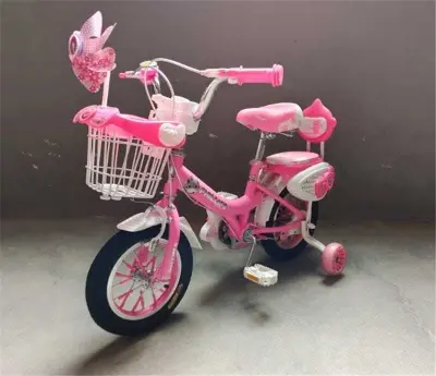 Picture of 20 Inch Ladies / Girls Bicycle with Back Seat Carrier, Front Basket, Full Wheel Mudguard & Chain Protector – Stylish & Safe Female Cycle