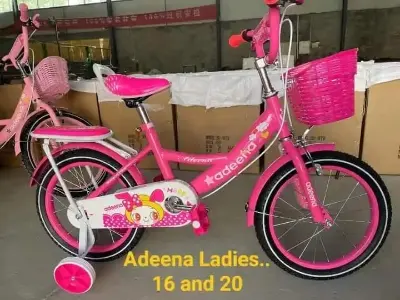 Picture of 16 Inch Ladies / Girls Bicycle with Back Seat Carrier, Front Basket, Full Wheel Mudguard & Chain Protector – Stylish & Safe Female Cycle