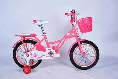 Picture of 16 Inch Ladies / Girls Bicycle with Back Seat Carrier, Front Basket, Full Wheel Mudguard & Chain Protector – Stylish & Safe Female Cycle