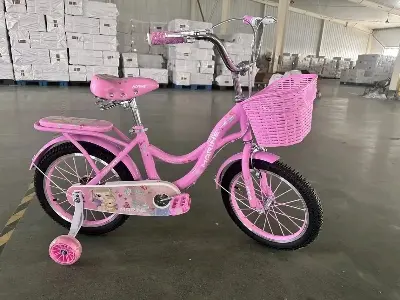 Picture of 20 Inch Ladies / Girls Bicycle with Back Seat Carrier, Front Basket, Full Wheel Mudguard & Chain Protector – Stylish & Safe Female Cycle