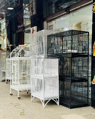 Picture of Large Family Bird Temp Cage With Roof Top Play Ground , Luxury Pet Parrot Cage Ornamental Cage Metal Cage Transparent Glass Cage Door Feeding Cage Birds/Cages