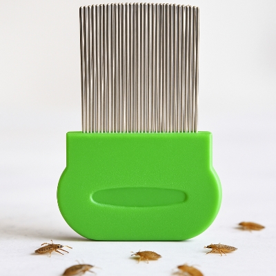Picture of Professional Stainless Steel big Nit Free Louse Nit Comb Terminator Lice Brush(mix color 1pcs)