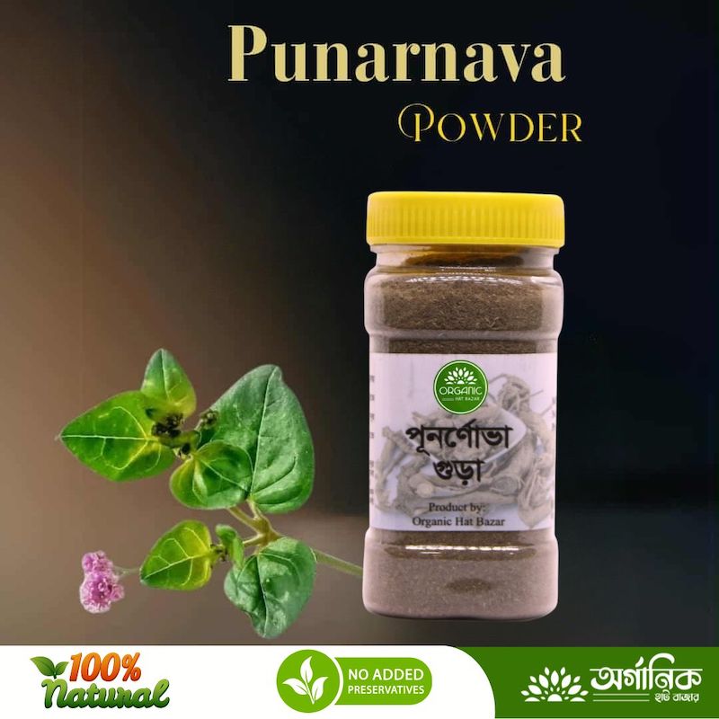 Picture of Punarnava Powder - 50 gm