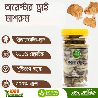 Picture of Oyester Dry Mushroom - 15gm