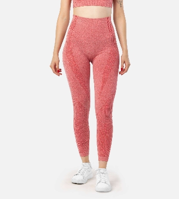 Picture of Leafletic Women’s Seamless Leggings | High-Waist Activewear Tights | Ultra Comfort Gym Wear, Yoga & Fitness Pants | Workout Outfit for Running & Training