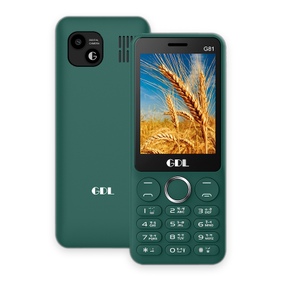 Picture of GDL G81 Dual Sim Feature Phone