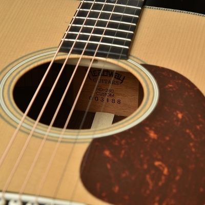 Picture of Acoustic guitar pickguard protector turtle drop shaped and bird type shaped guard plate red & black