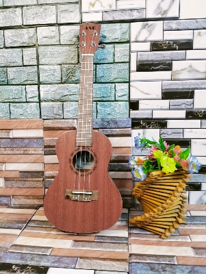 Picture of A.xe ukulele Concert Size 24 inc with bag , picks and belt