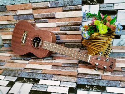 Picture of A.xe ukulele Concert Size 24 inc with bag , picks and belt