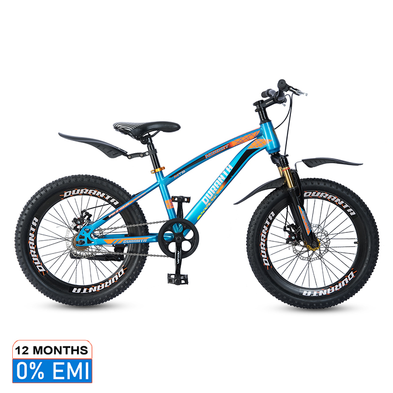 Picture of Duranta Steel 1-Speed 20 inch Hornet Bicycle Blue