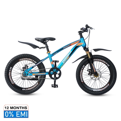 Picture of Duranta Steel 1-Speed 20 inch Hornet Bicycle Blue