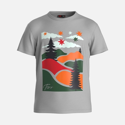 Picture of TORR Light Grey Boys T-shirt