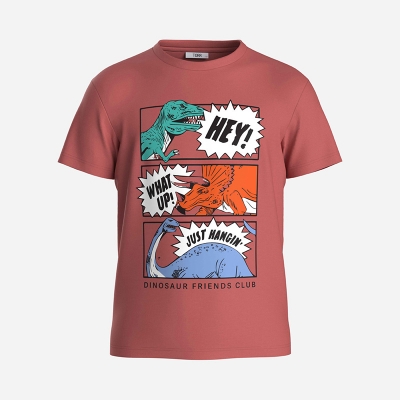 Picture of TORR Cranberry Boys T-shirt