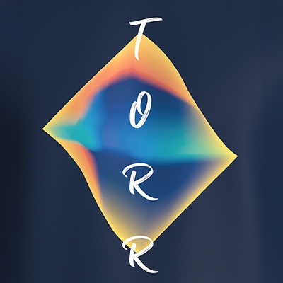 Picture of TORR Navy Men's  T-shirt