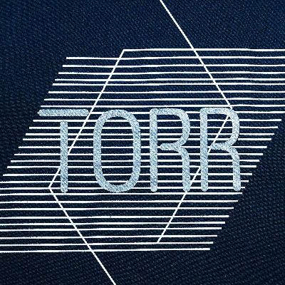 Picture of TORR Navy Men's Activewear T-shirt