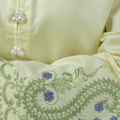 Picture of TORR  Pale Lime Ethnic Wear (01 Piece Kurti)