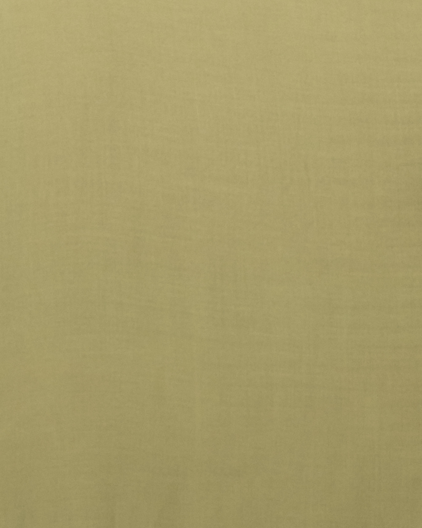 Picture of TORR Green Women's Shirt