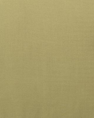 Picture of TORR Green Women's Shirt