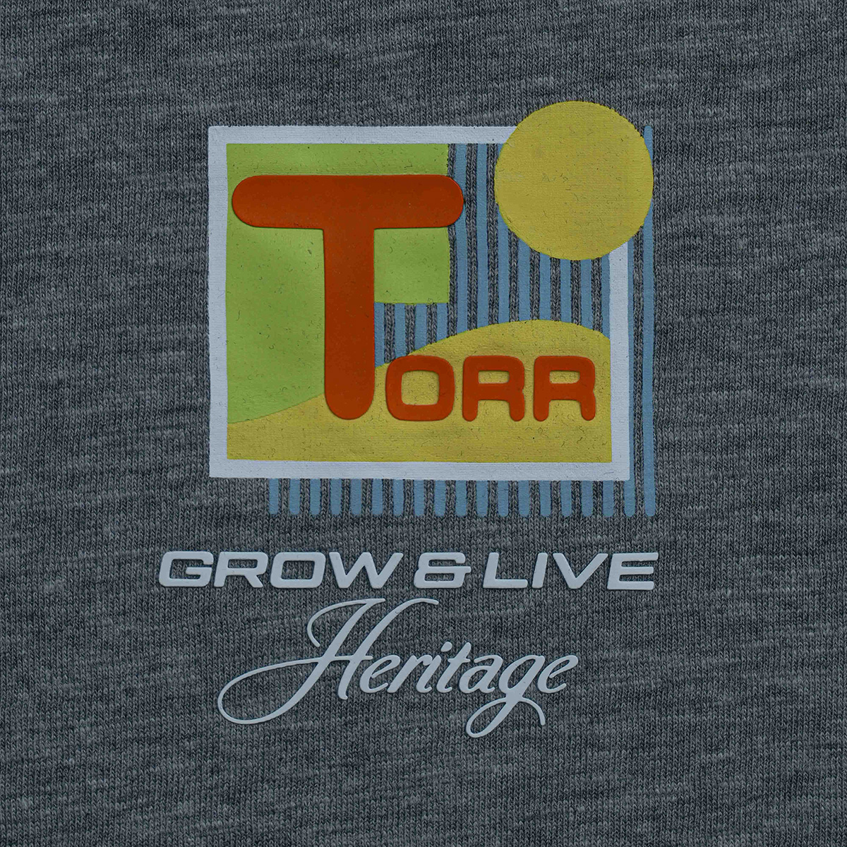 Picture of TORR Dark Grey Men's T-shirt