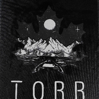 Picture of TORR Volcanic Ash Men's  T-shirt