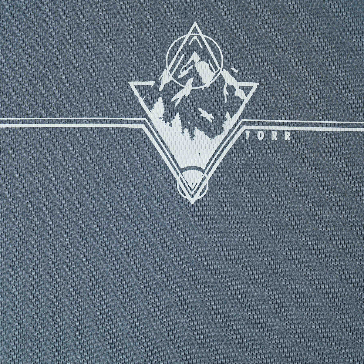 Picture of TORR Grey Men's  T-shirt