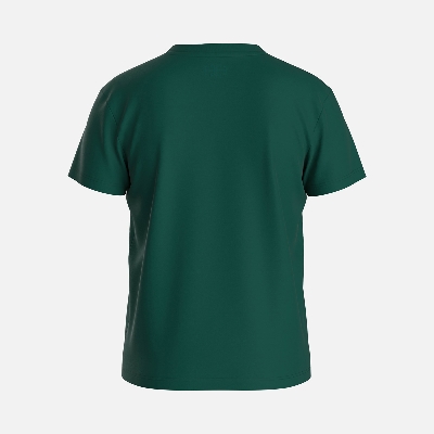 Picture of TORR Green Boys T-shirt