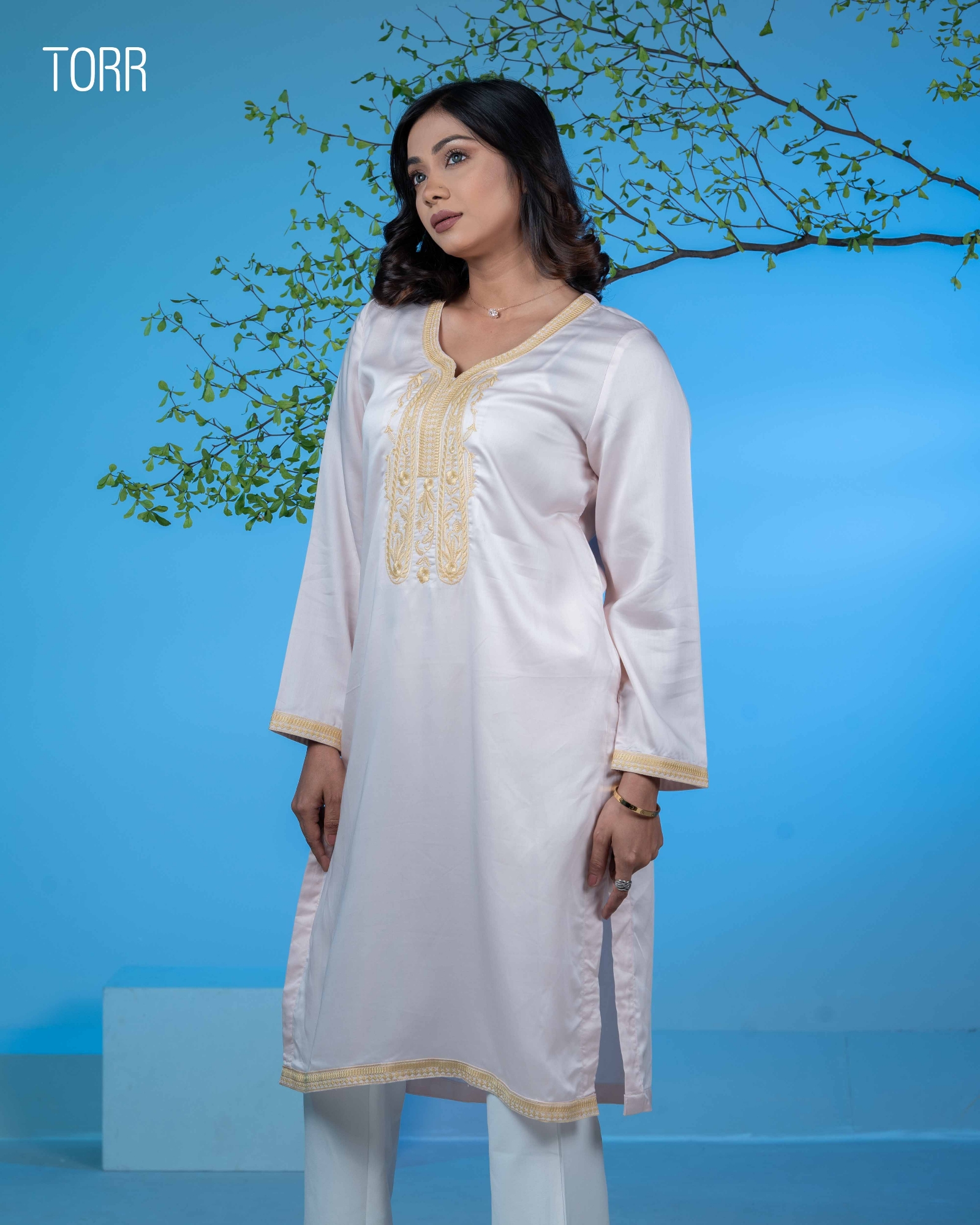 Picture of TORR  Pink Dog Wood Ethnic Wear (01 Piece Kurti)