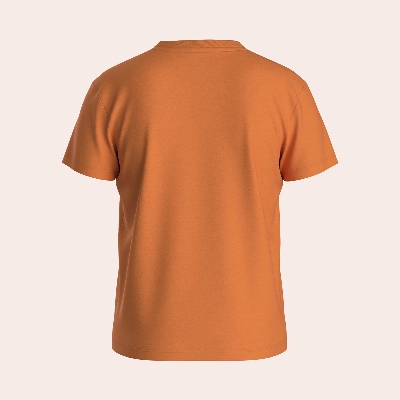 Picture of TORR Orange Boys T-shirt