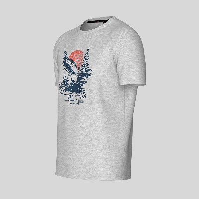 Picture of TORR Light Grey Men's T-shirt