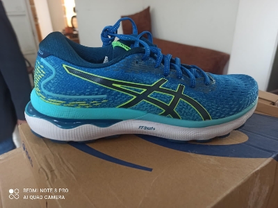 Picture of Asics Gel Nimbus 24 Running shoes for men