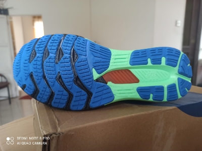 Picture of Asics Gel Nimbus 24 Running shoes for men