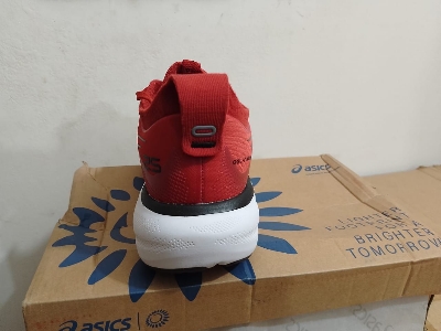 Picture of Asics Gel Nimbus 25 Running shoes for men